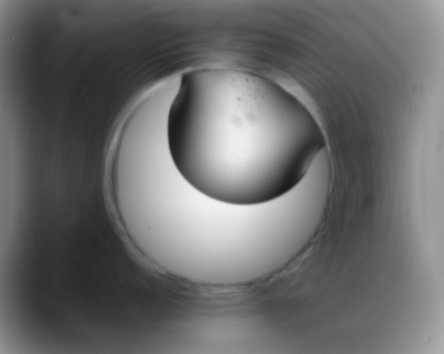X0000088211152200705292047
