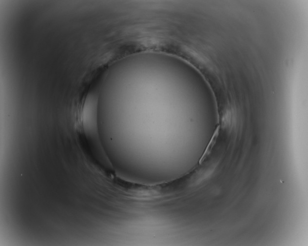X0000088211156200705292047