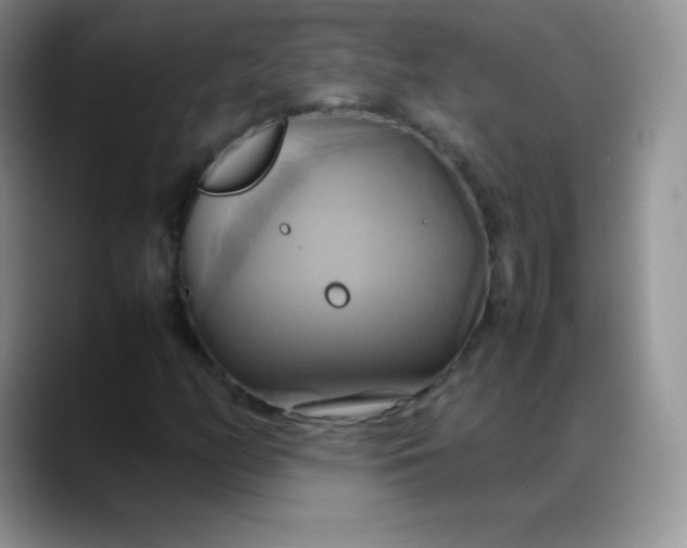 X0000088211158200705292047