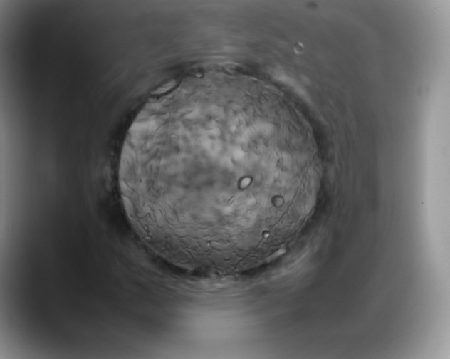 X0000088211159200705292047