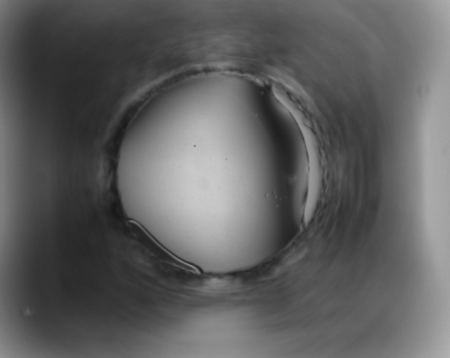 X0000088211160200705292047
