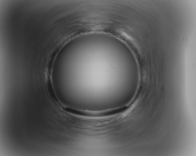 X0000088211161200705292047