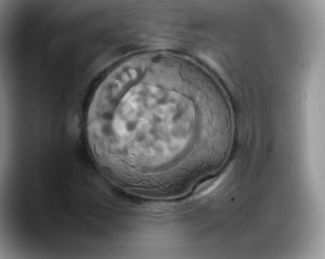 X0000088211163200705292047