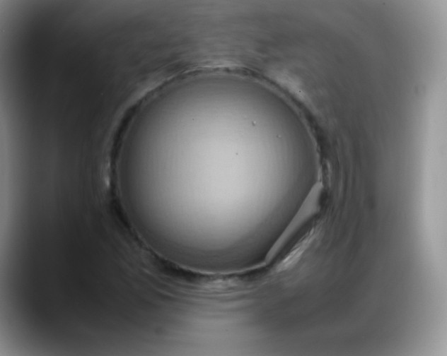 X0000088211165200705292047