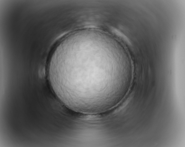 X0000088211166200705292047