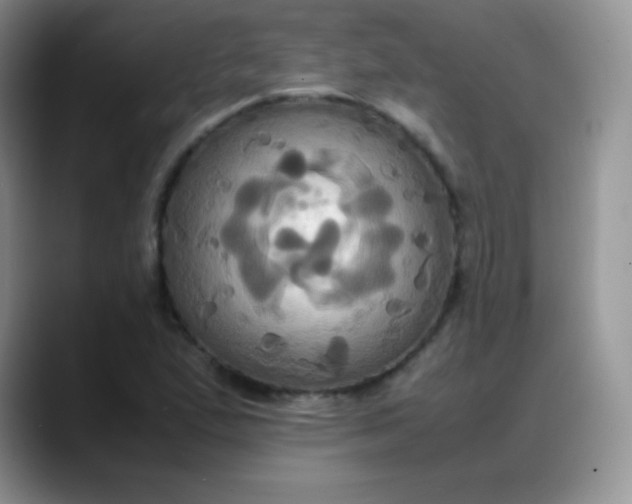 X0000088211167200705292047