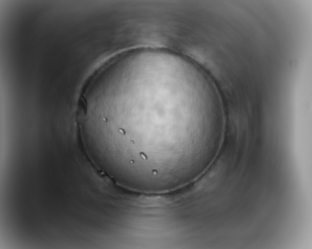 X0000088211168200705292047