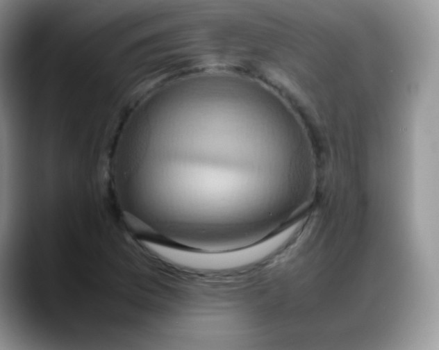 X0000088211169200705292046