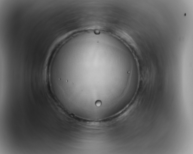 X0000088211172200705292046