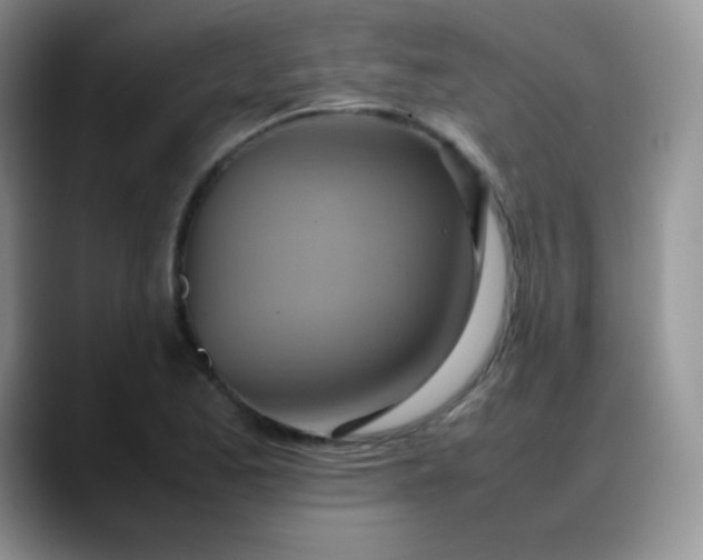 X0000088211173200705292046