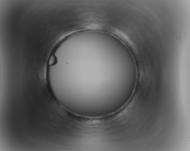 X0000088211174200705292046