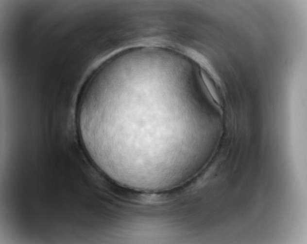 X0000088211176200705292046