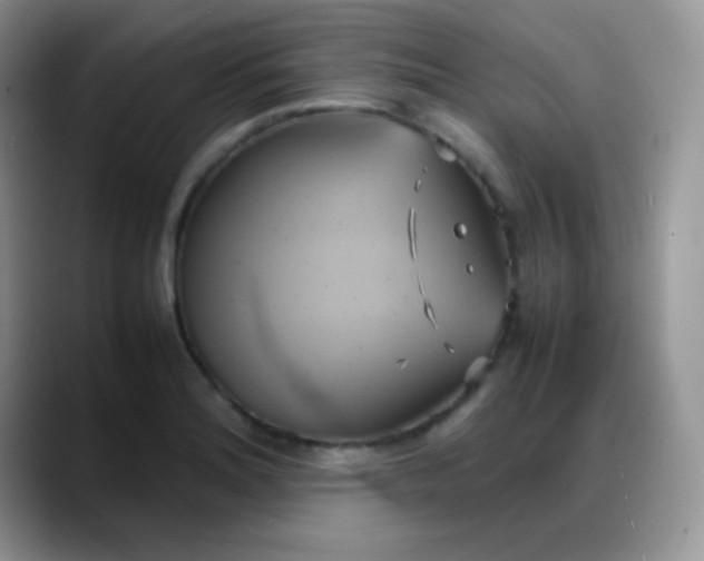 X0000088211180200705292046