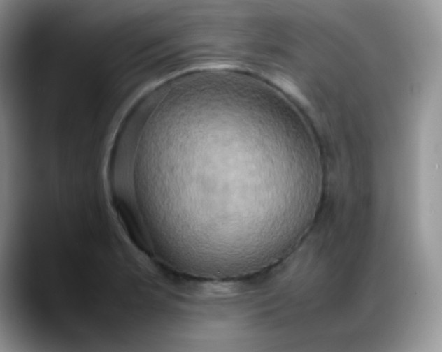 X0000088211181200705292046