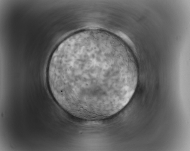 X0000088211183200705292046