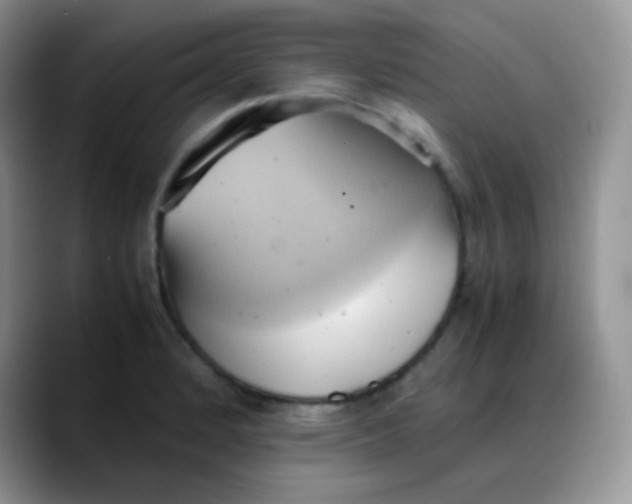 X0000088211184200705292046