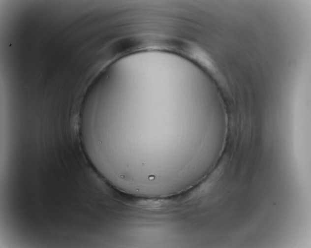 X0000088211185200705292046
