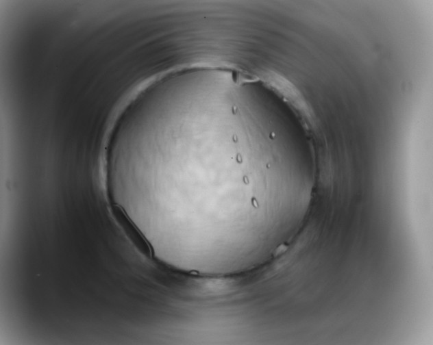 X0000088211188200705292046