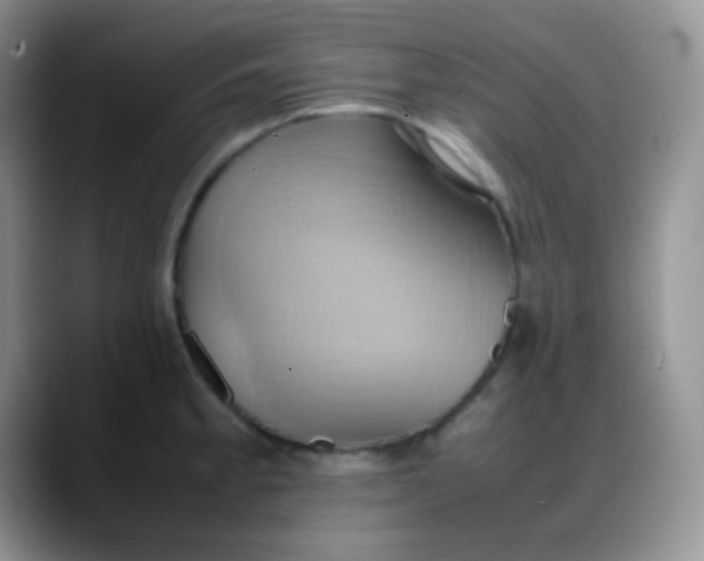 X0000088211189200705292046