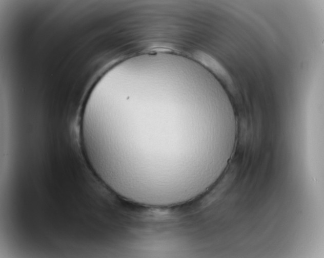X0000088211190200705292046