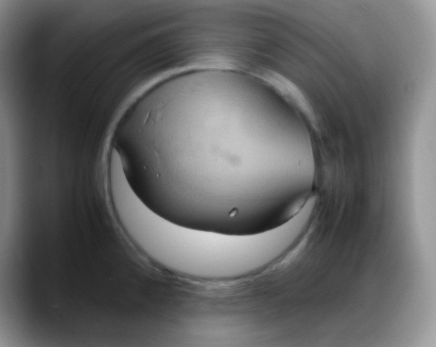 X0000088211192200705292046