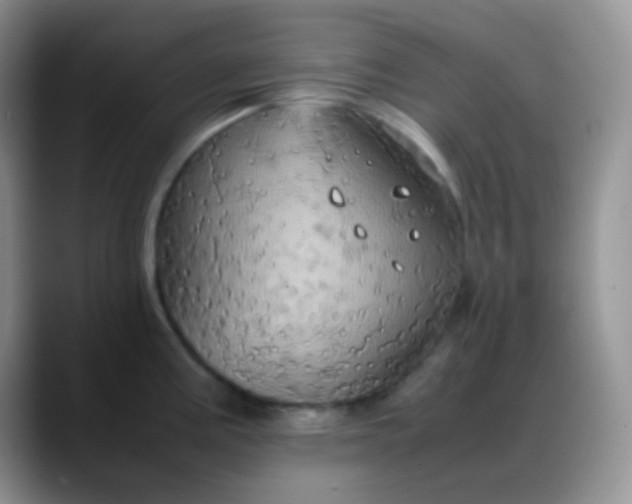 X0000088211195200705292046