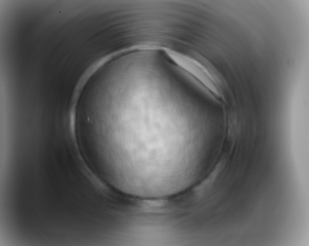X0000088211196200705292046