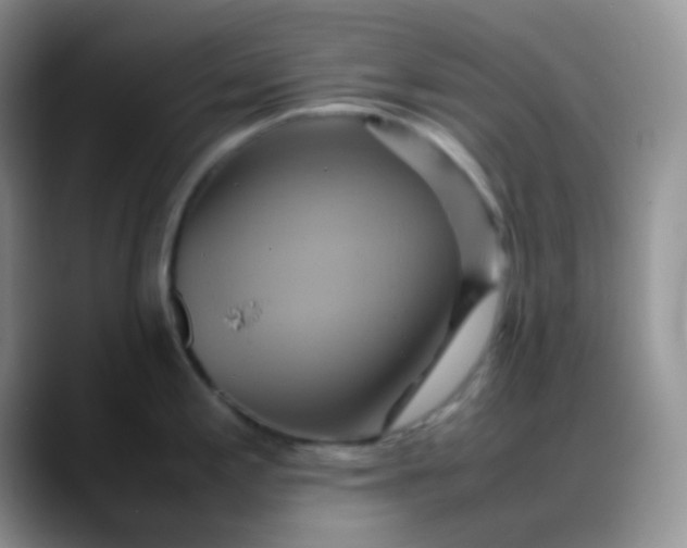 X0000088211197200705292046