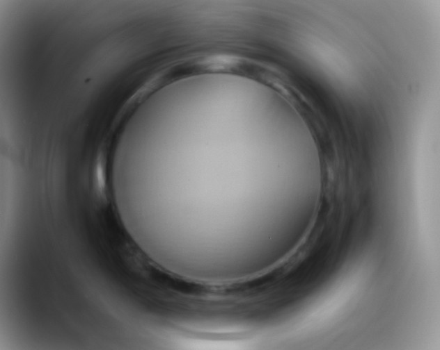 X0000088211198200705292046