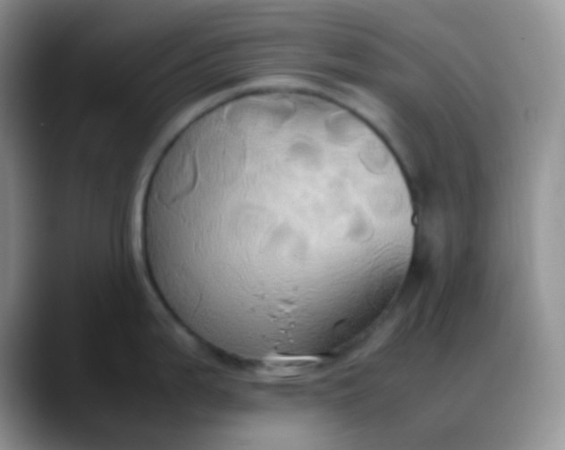 X0000088211199200705292046