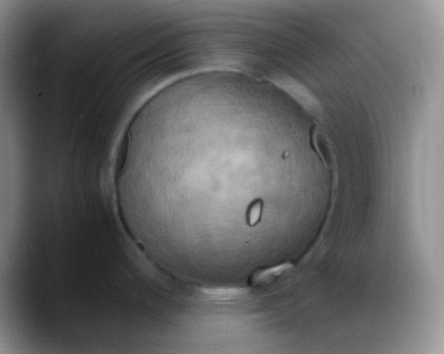 X0000088211200200705292046