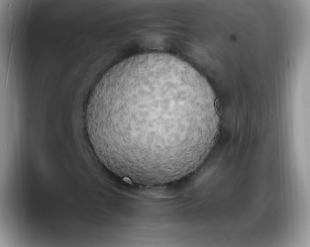 X0000088211201200705292045