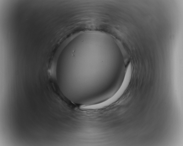 X0000088211202200705292045