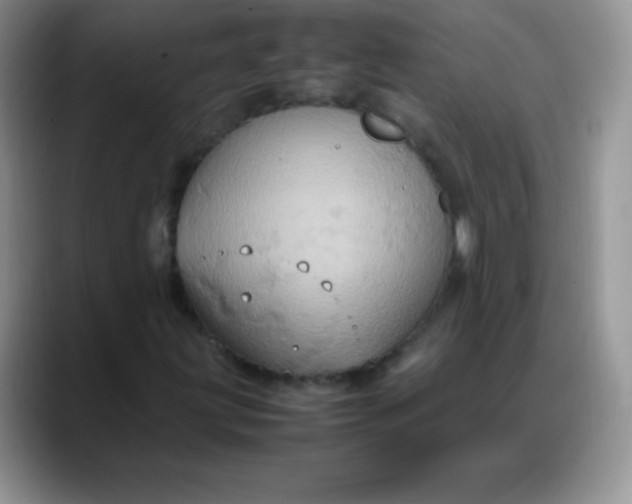 X0000088211203200705292045