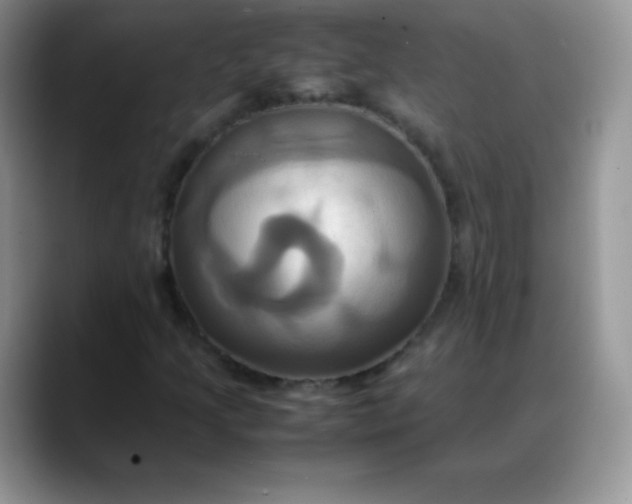 X0000088211205200705292046