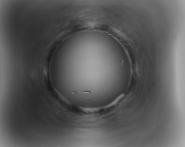 X0000088211206200705292046