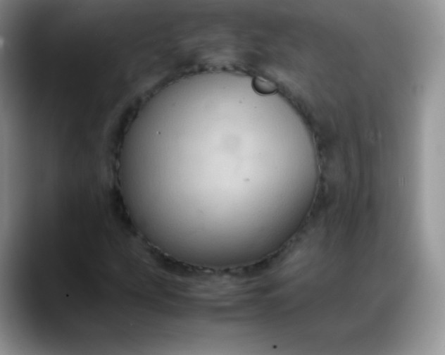 X0000088211207200705292046
