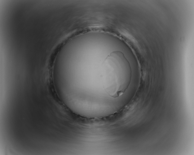 X0000088211208200705292046