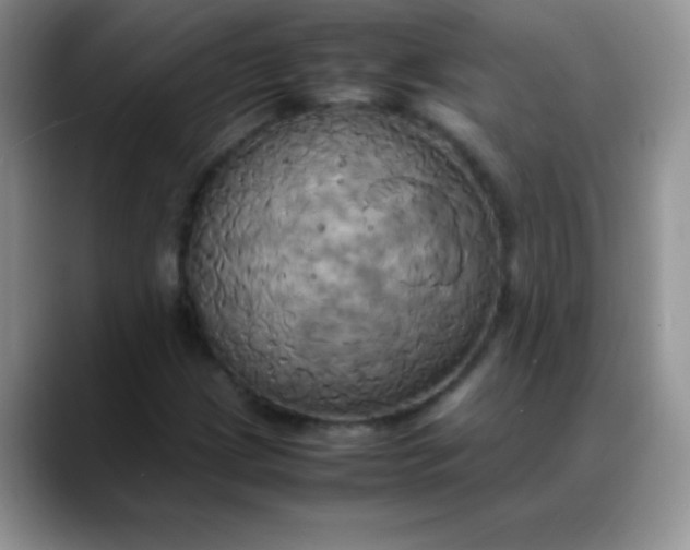 X0000088211209200705292046