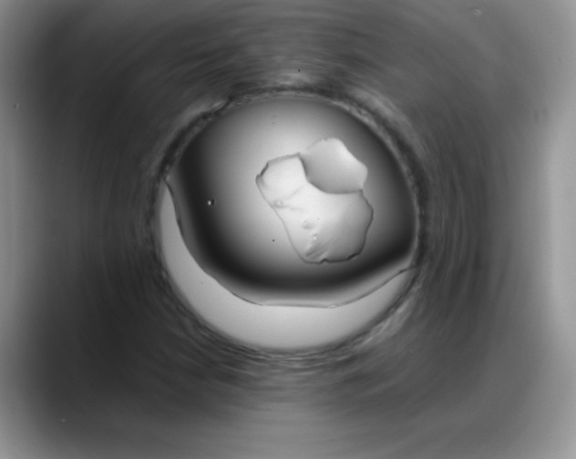 X0000088211210200705292046