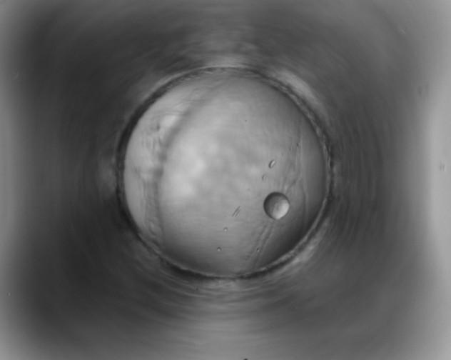 X0000088211212200705292046