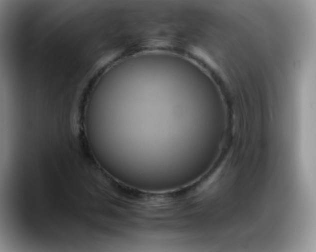X0000088211213200705292046