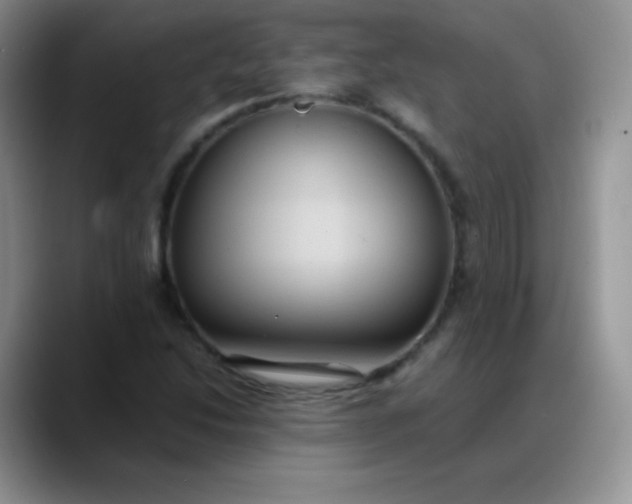 X0000088211214200705292046