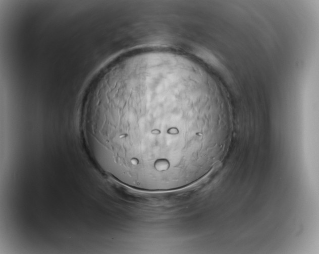 X0000088211216200705292046