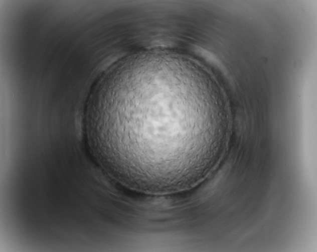 X0000088211217200705292046
