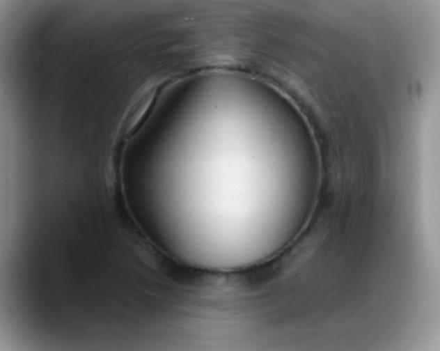 X0000088211218200705292046