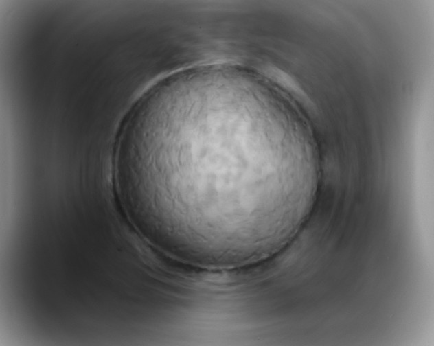 X0000088211220200705292046