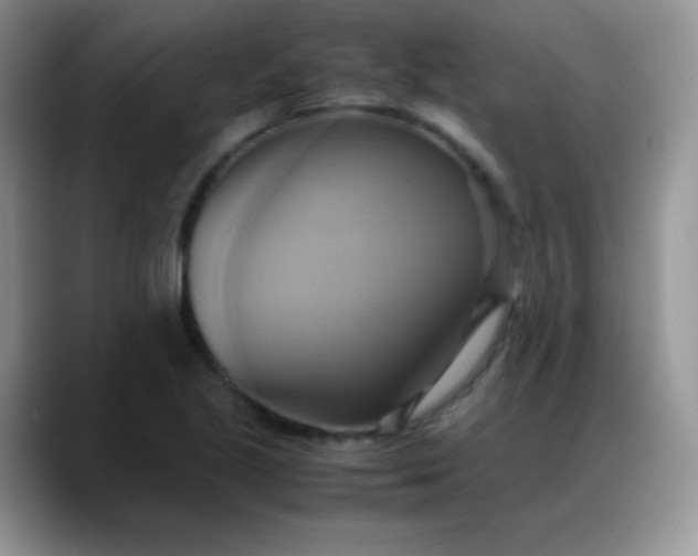 X0000088211221200705292046