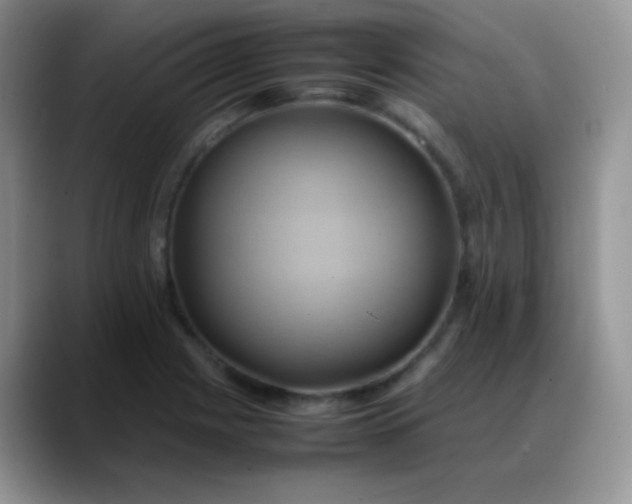 X0000088211225200705292046