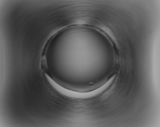 X0000088211226200705292046